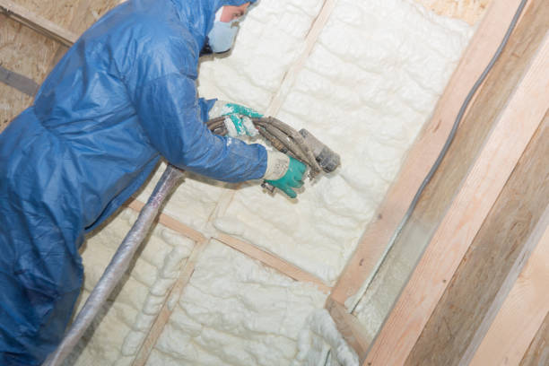 Best Blown-In Insulation  in Rheems, PA